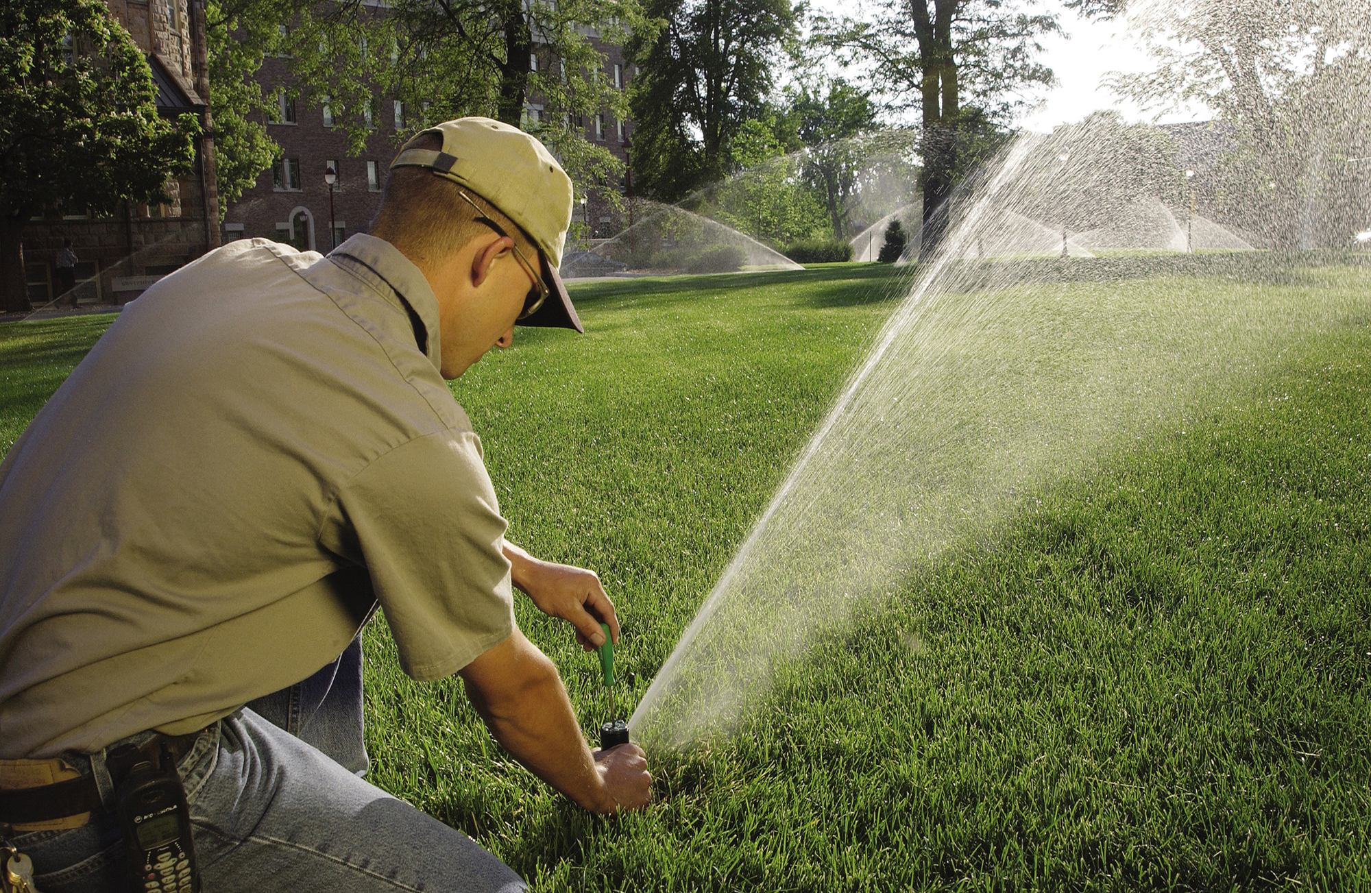 About D'agastino Irrigation