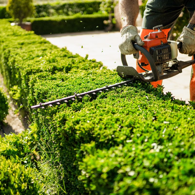 Landscaping Services