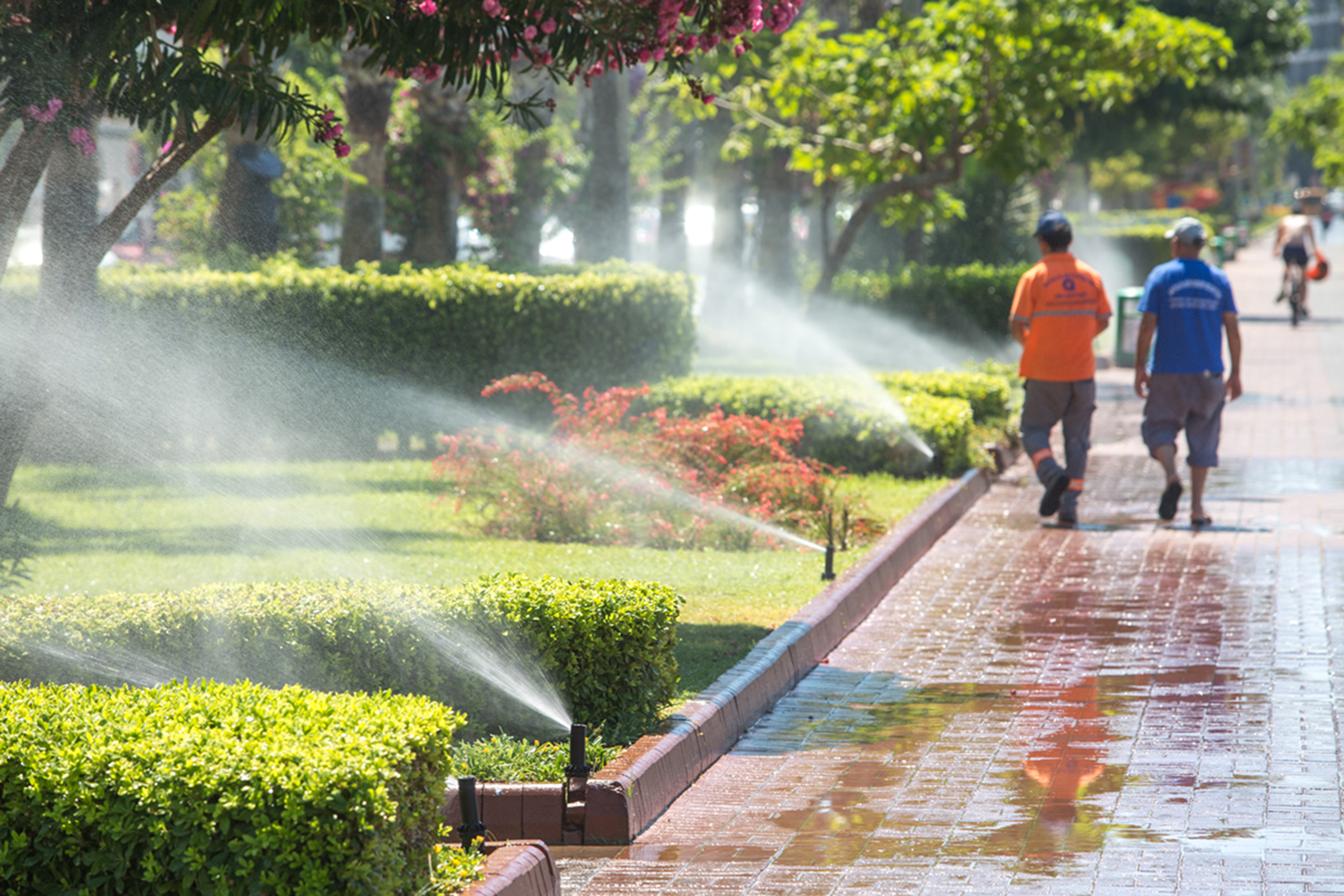 Commercial Irrigation