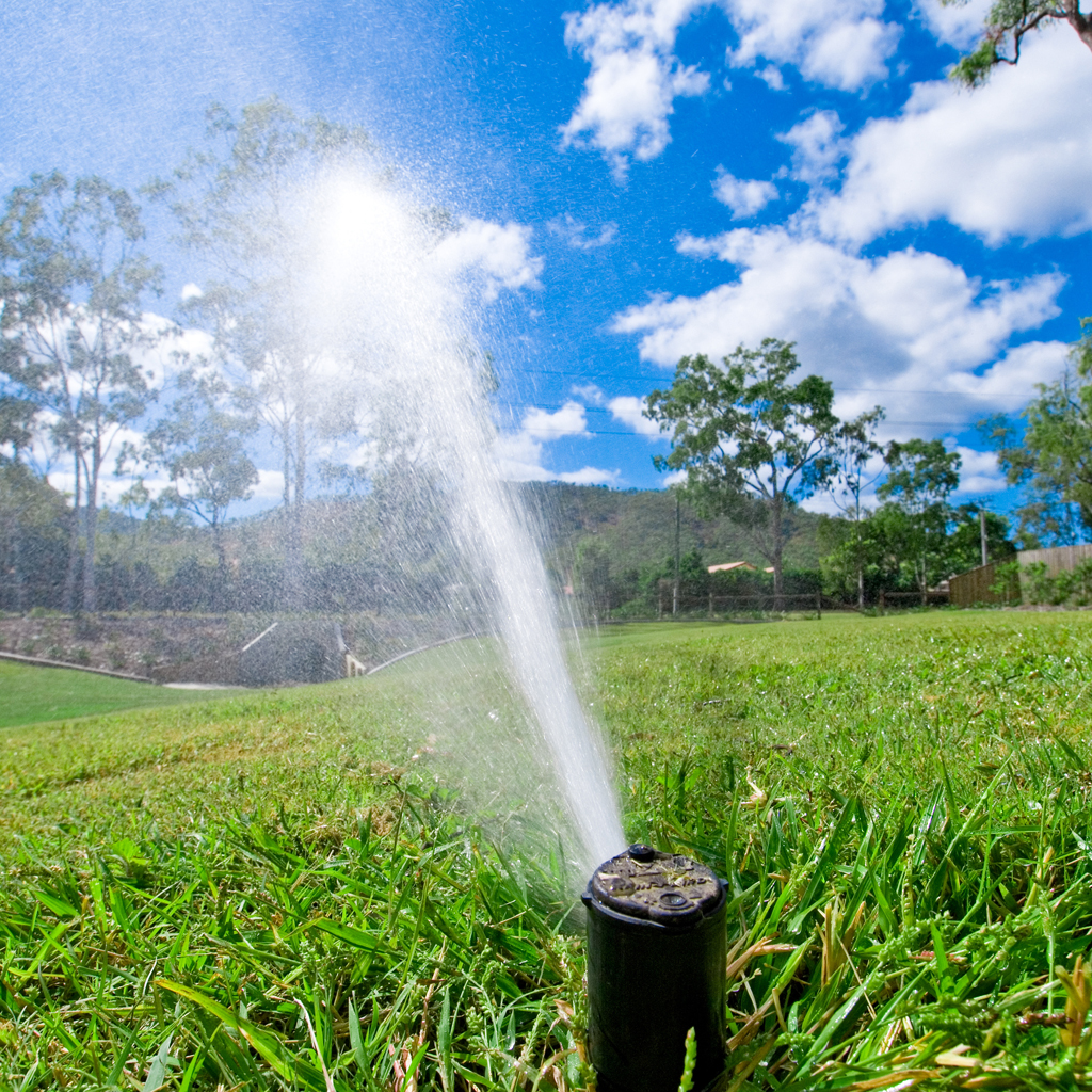 About D'agostino Landscaping Inc