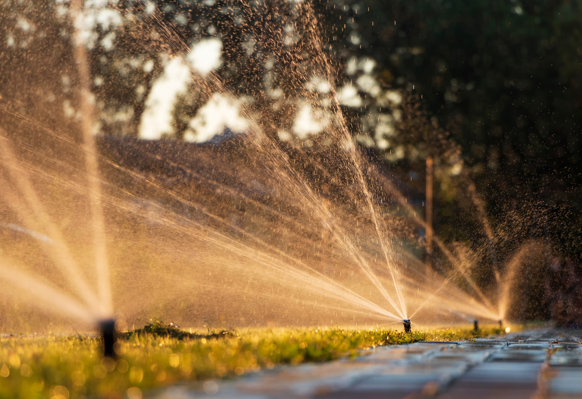 Free Consultation for Irrigation Services