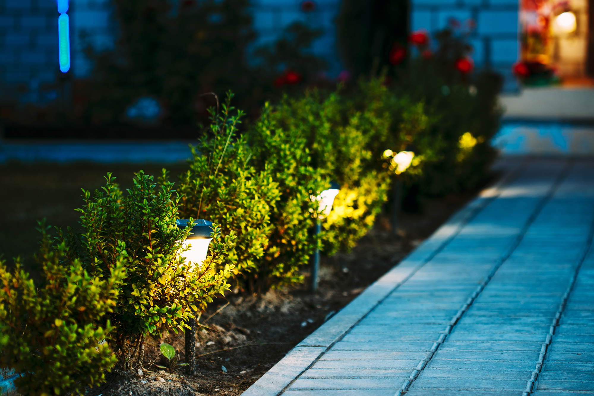 Landscape Lighting