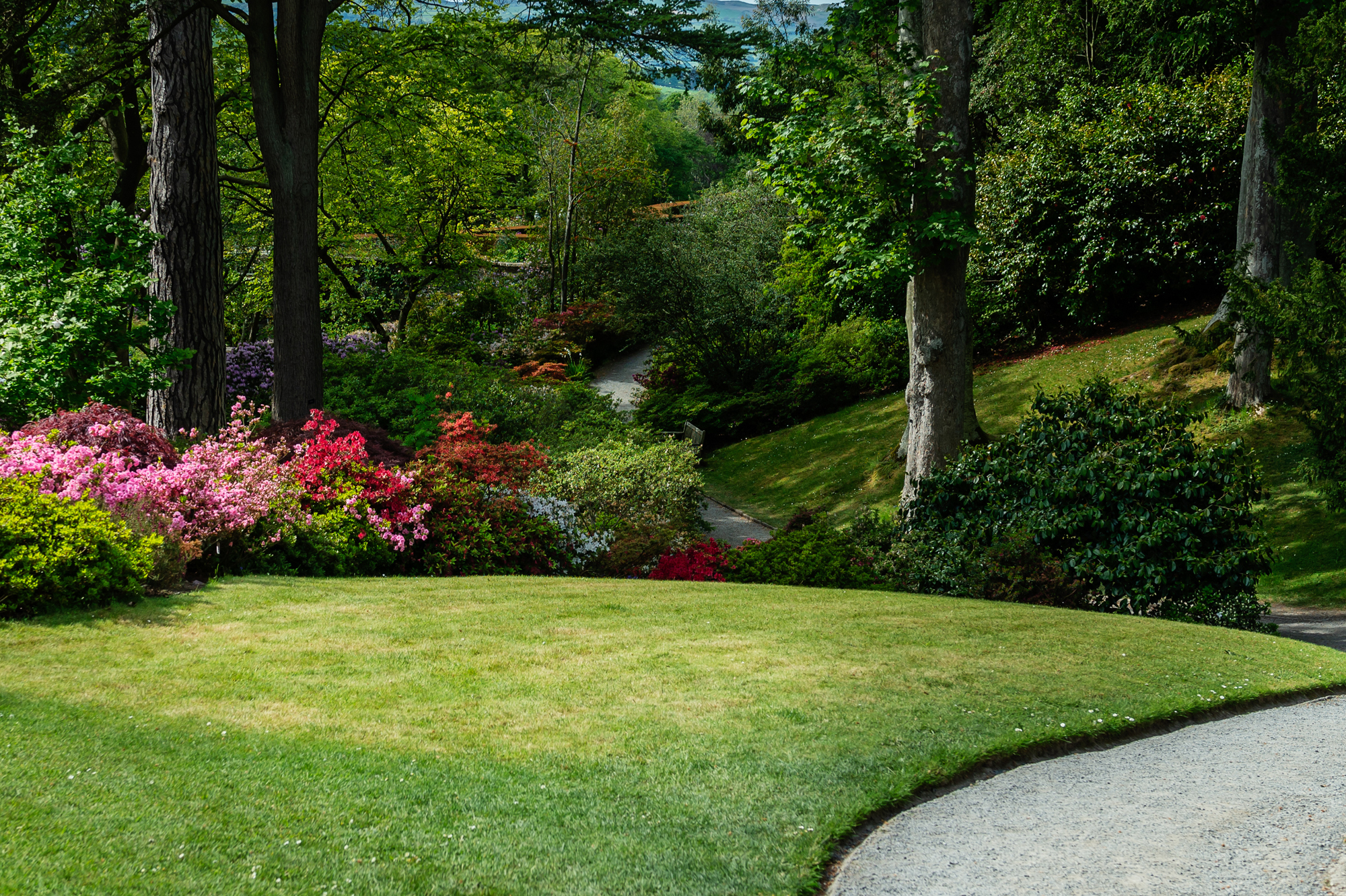 Landscaping Services