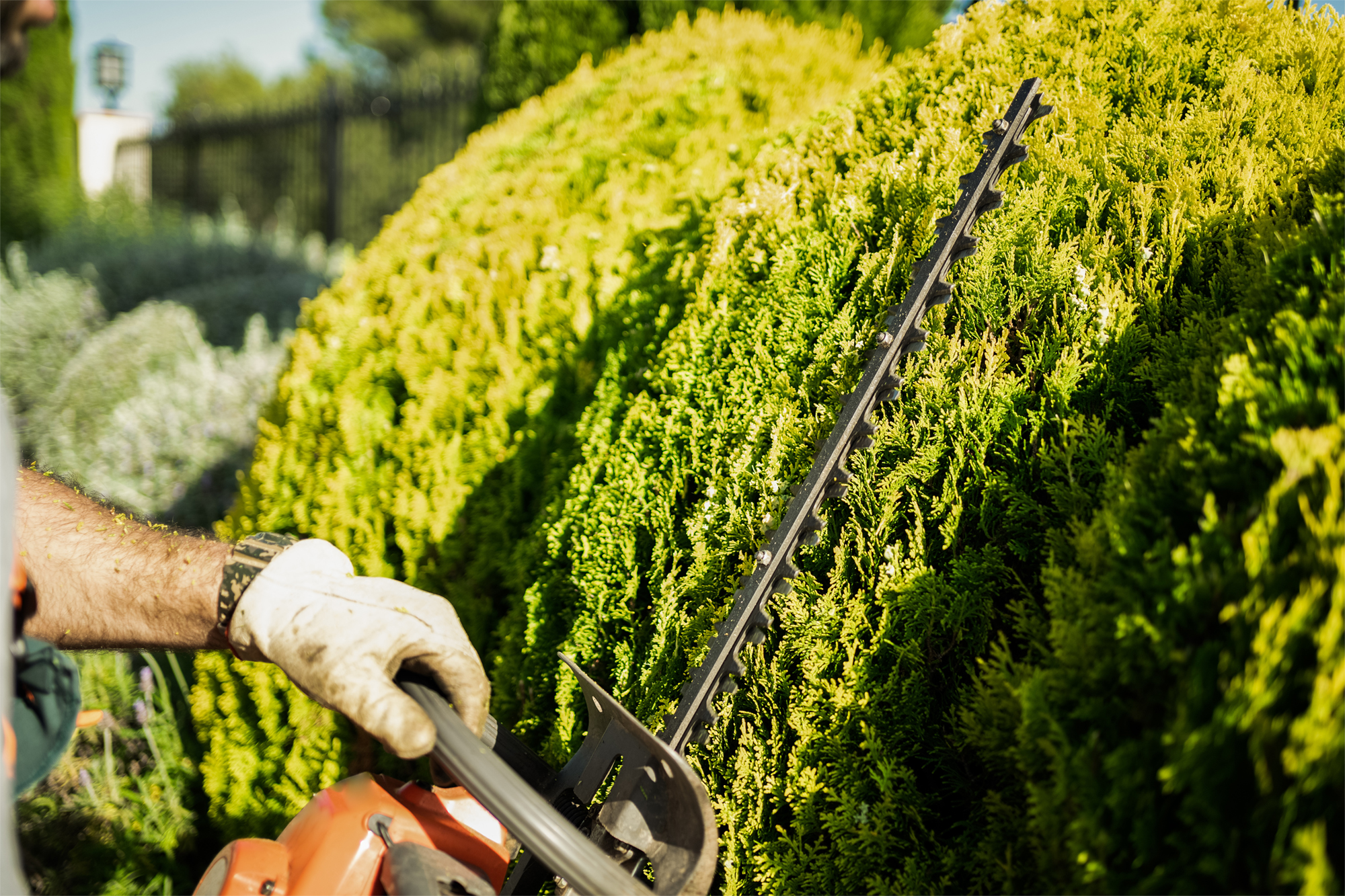 Residential and Commercial Landscaping